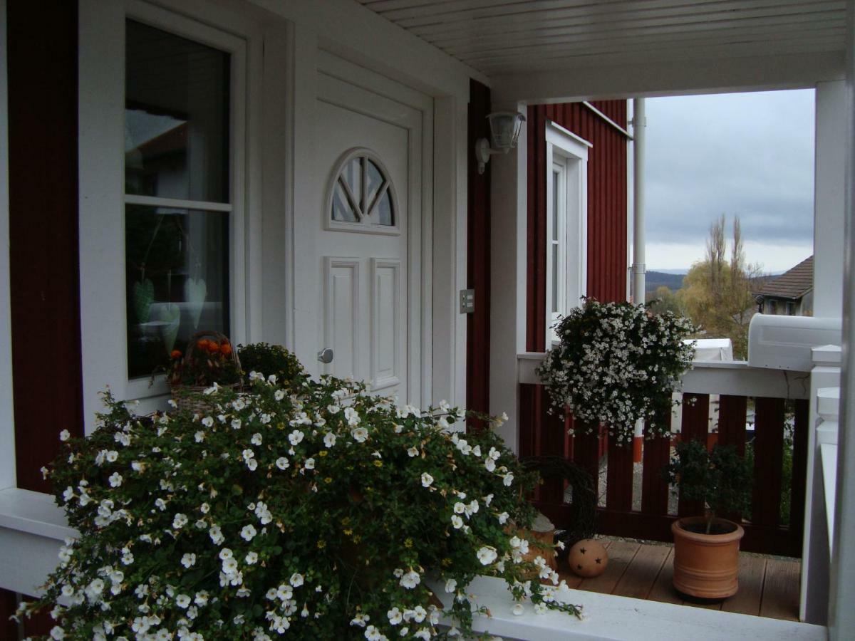 Haus Nordlicht Apartment Horn-Bad Meinberg Exterior photo